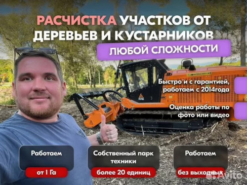 Расчистка заросших полей от деревьев от 1 Га Расчистка заросших полей от деревьев от 1 Га