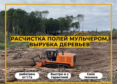 Расчистка участка мульчером от 1 Га, спил деревьев Расчистка участка мульчером от 1 Га, спил деревьев