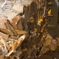 Канальный пресс Кубер-50ГА с автоматической обвязкой кип - 13