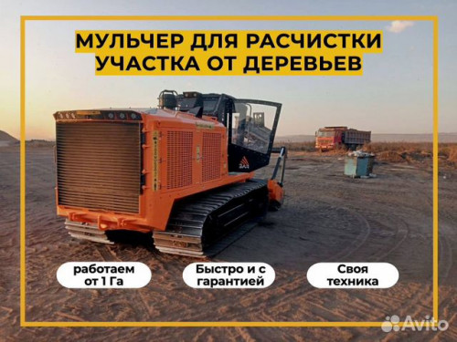 Гусеничный мульчер, расчистка от деревьев Гусеничный мульчер, расчистка от деревьев